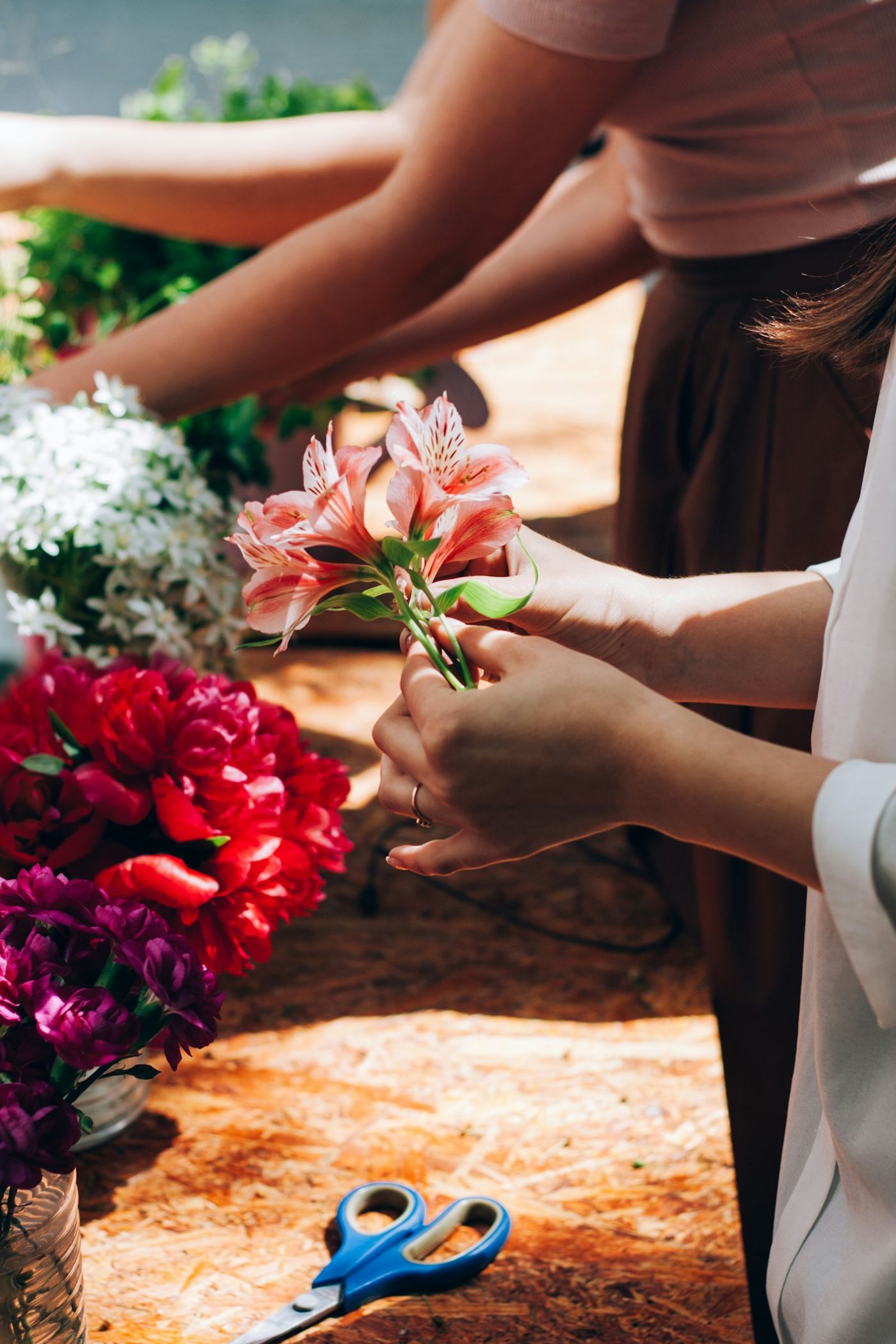 Hands arranging roses with scissors on a garden table